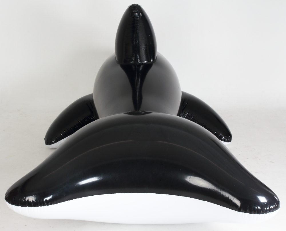 Whale 5m black shiny_4